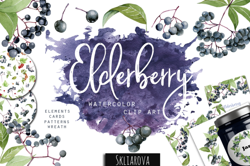 elderberry-watercolor-clip-art
