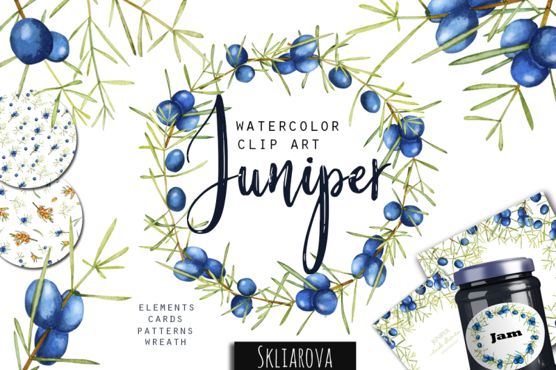 juniper-watercolor-clip-art