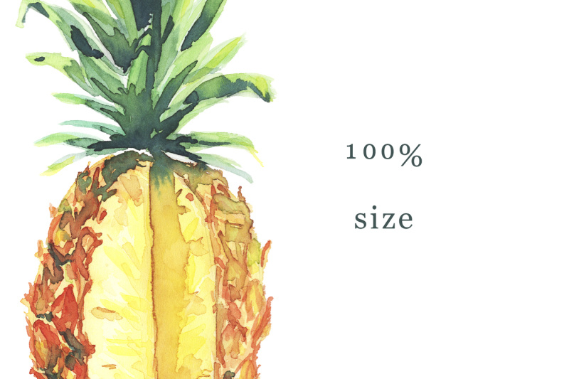 watercolor-pineapple-clipart