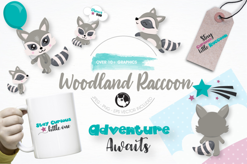 woodland-raccoon-graphics-and-illustrations