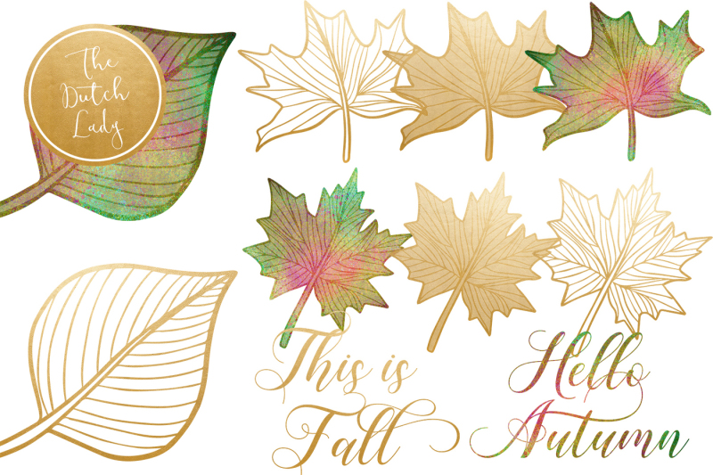 autumn-and-fall-leaves-clipart-set