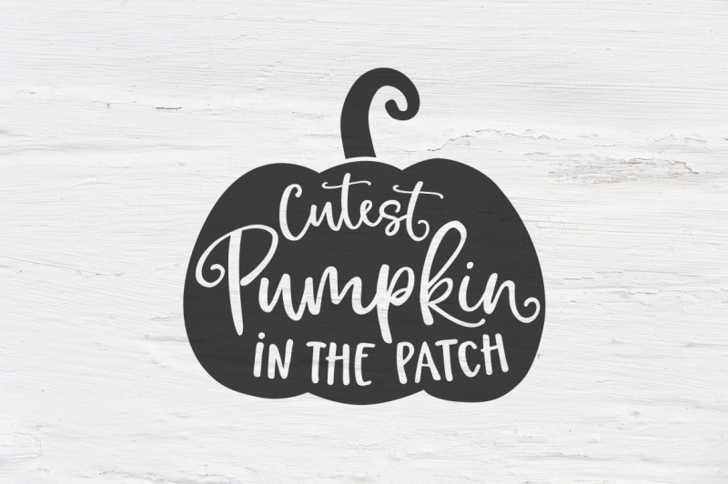 cutest-pumpkin-in-the-patch-svg-eps-png-dxf