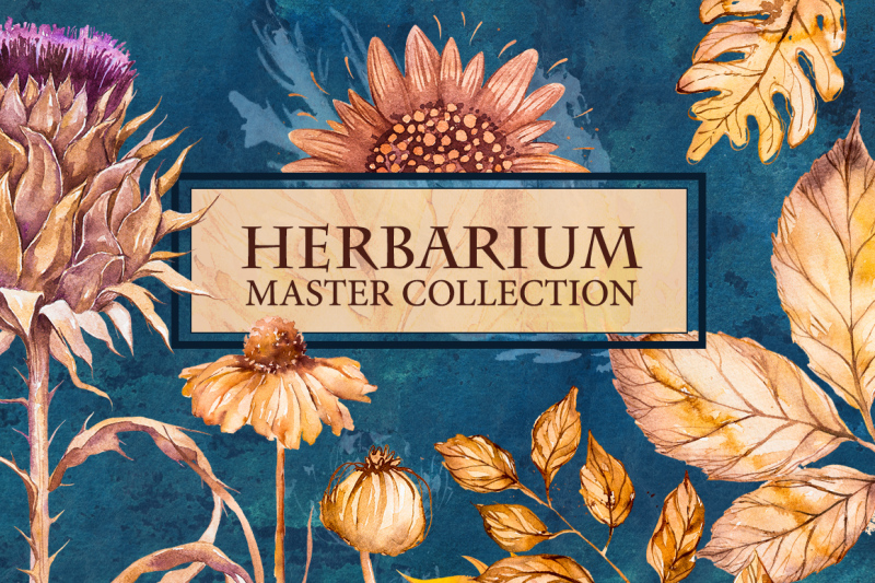 herbarium-master-collection