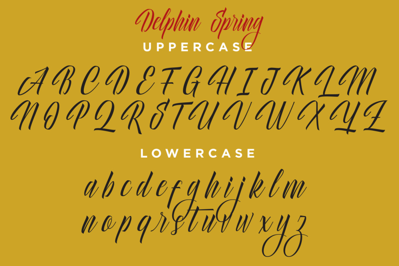 Delphin Spring Vintage Script By Konstantine Studio Thehungryjpeg Com