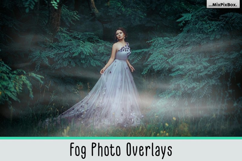 fog-photo-overlays