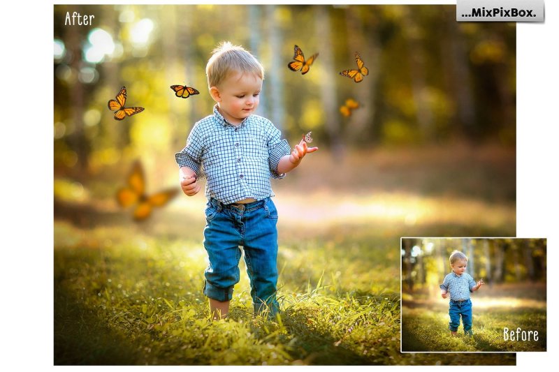 butterflies-photo-overlays
