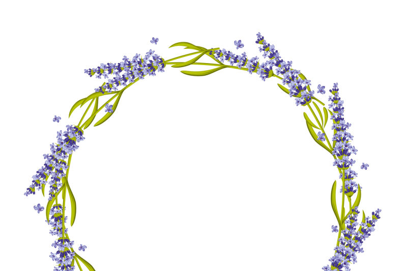 lavender-round-frame-wreath-vector-illustration