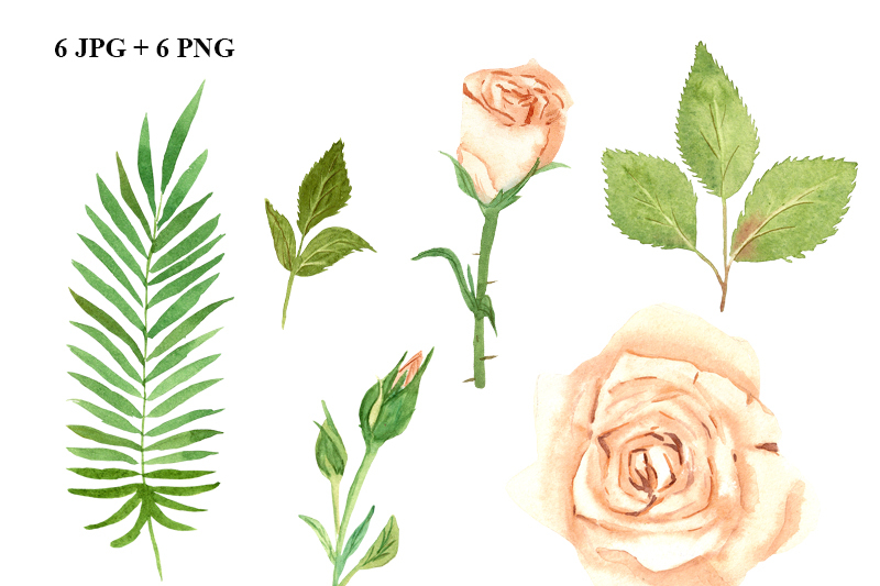 tender-rose-watercolor-set