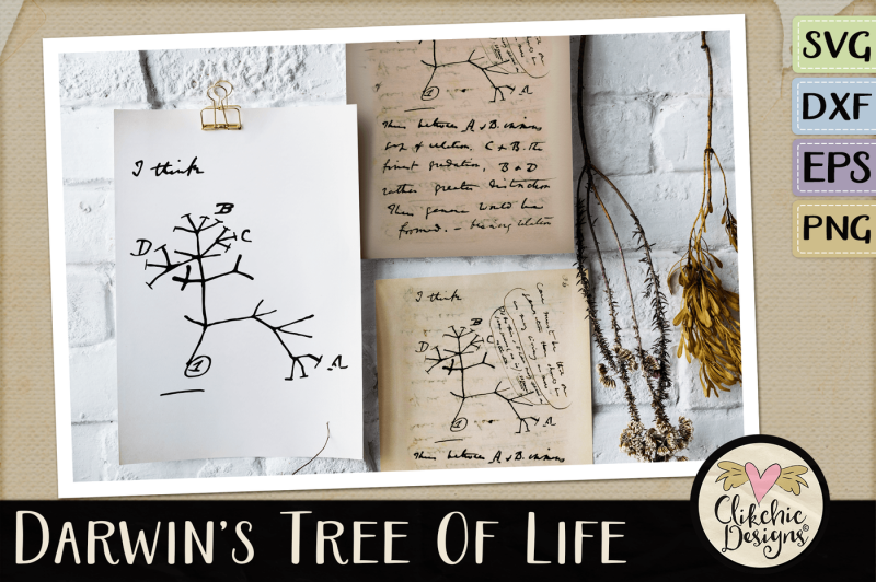 darwin-s-tree-of-life-svg-cutting-files