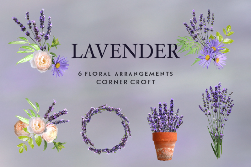 lavender-clipart-isolated-lavender-images