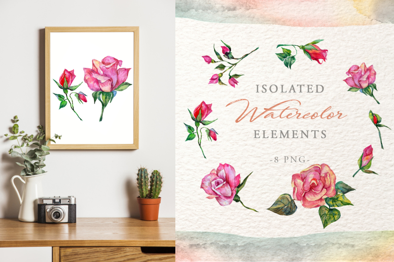 wonderful-pink-roses-png-watercolor-set