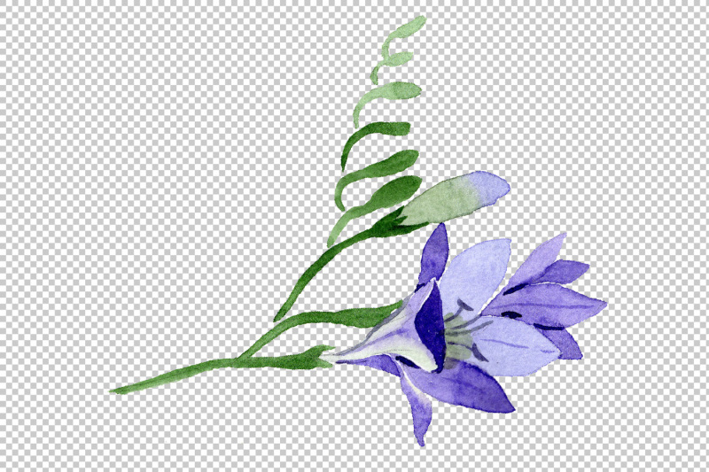 aquarelle-purple-freesia-png-flower-set