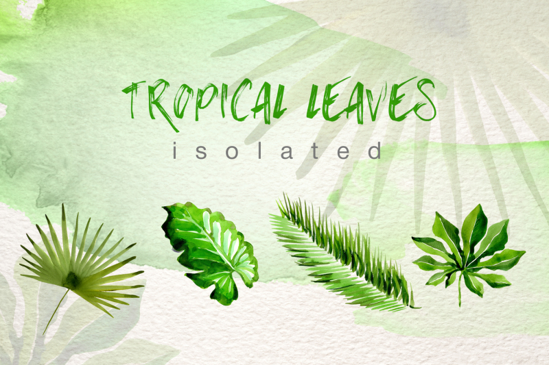 watercolor-tropical-leaves-png-set