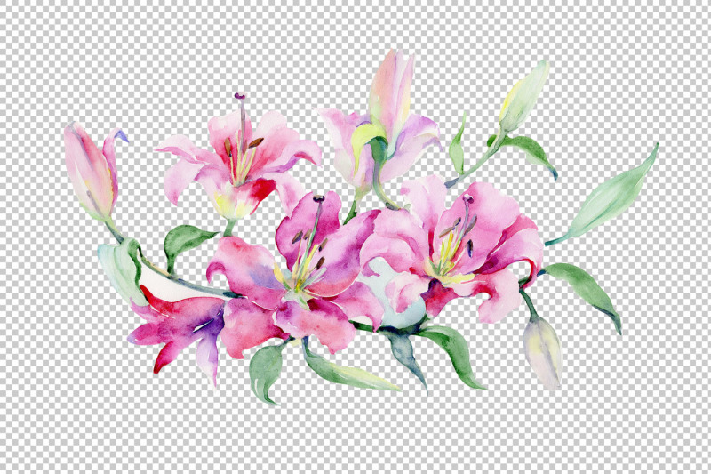 bouquet-of-pink-lilies-png-watercolor-set