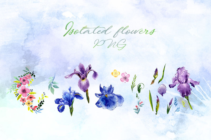 tender-watercolor-irises-png-set