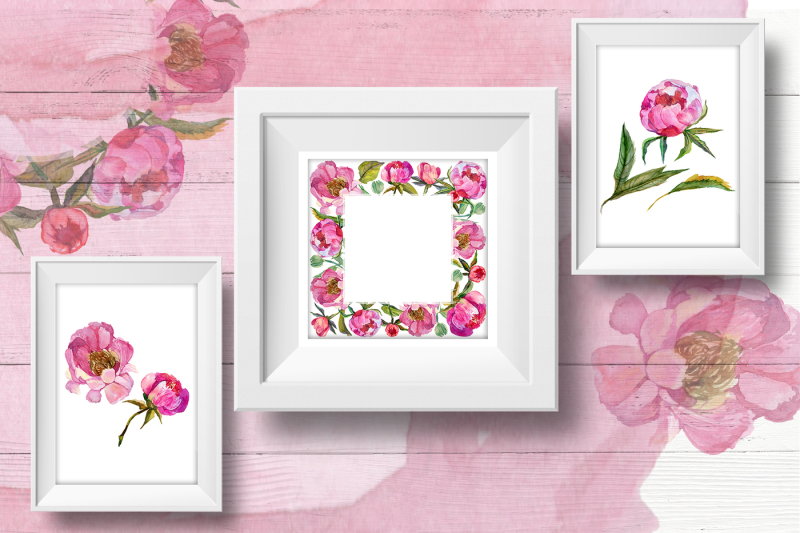 cool-peonies-png-watercolor-flowers-set