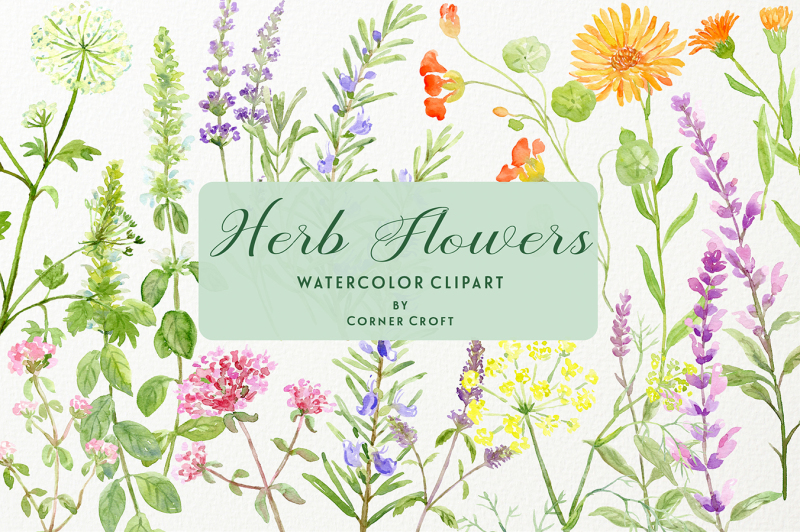herb-flower-collection