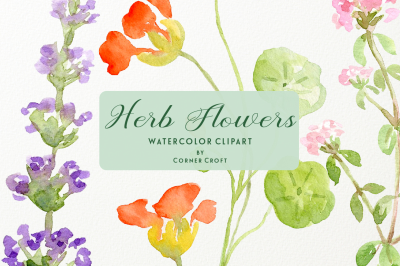 herb-flower-collection