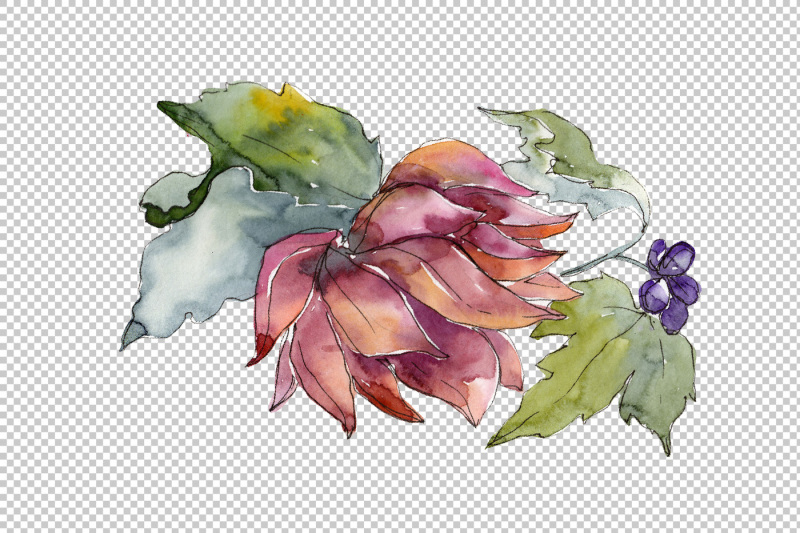 succulent-tropical-flowers-png-watercolor-set