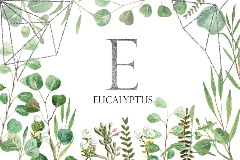 silver-eucalyptus-watercolor-collection