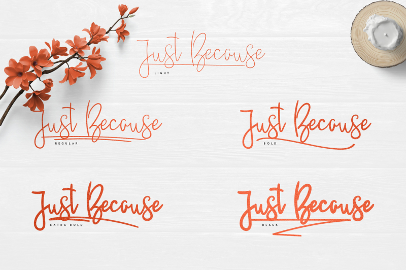 justbecause-font-family-50-percent