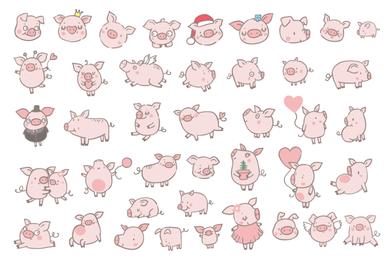 cute-funny-pigs