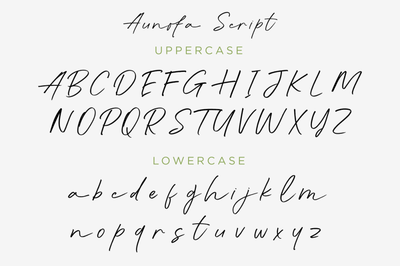 Double Aunofa Couple Fonts By Konstantine Studio Thehungryjpeg Com