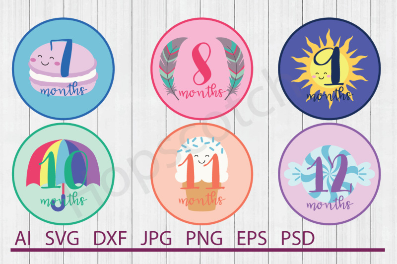 Baby Months Bundle, SVG Files, DXF Files, Cuttable Files for Cutting
Machines