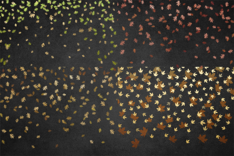 gold-autumn-leaf-confetti-overlays