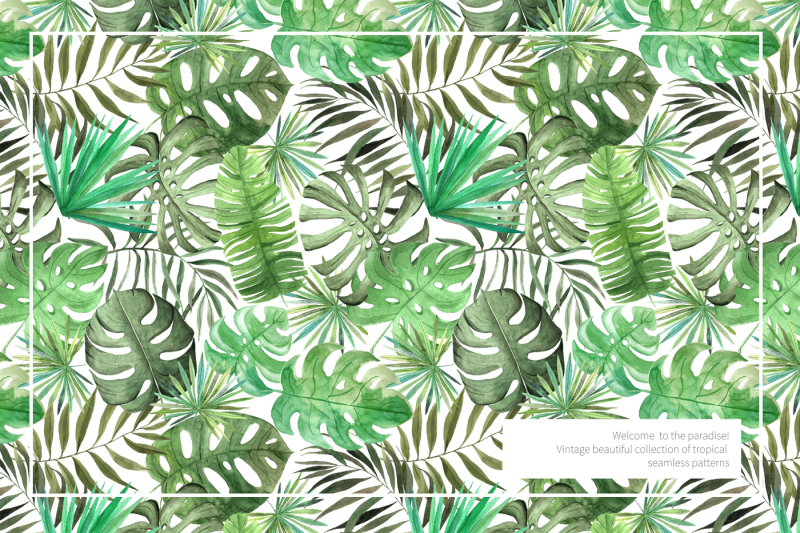 15-watercolor-tropical-patterns-set