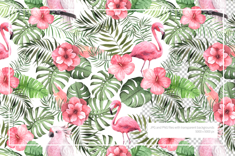 15-watercolor-tropical-patterns-set