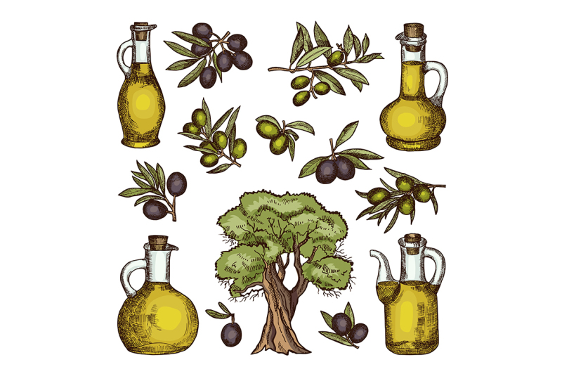 colored-illustrations-of-different-olive-products-and-ingredients
