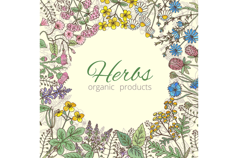 medicinal-botanical-and-healing-beauty-herbs-from-garden