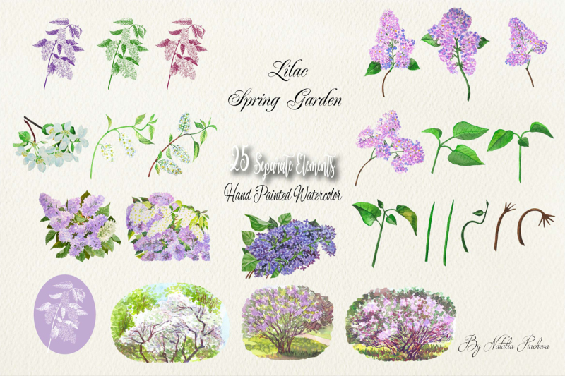 lilac-spring-garden