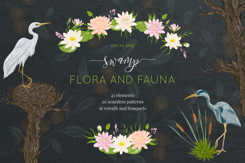 swamp-flora-and-fauna