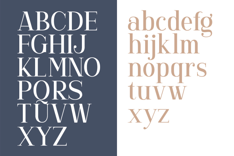 gorgone-a-versatile-serif
