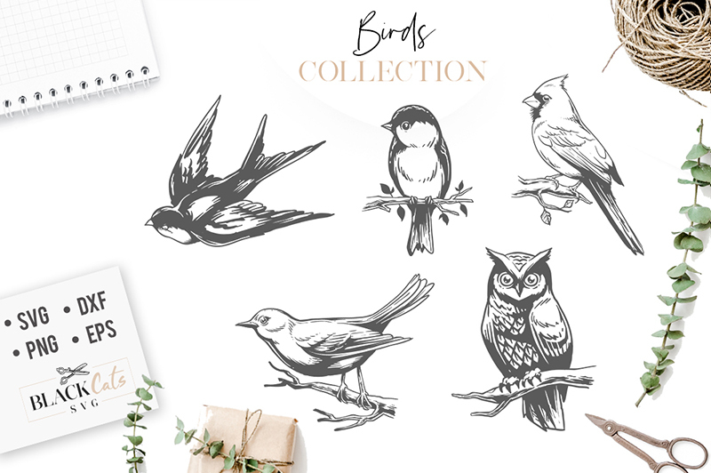 birds-set-svg-birds