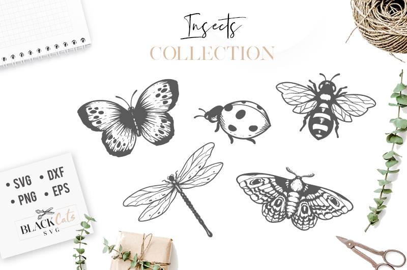 insects-set-svg-insects