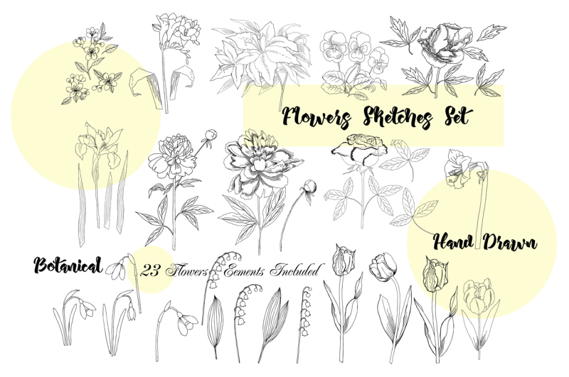 flowers-sketches-set-clip-art