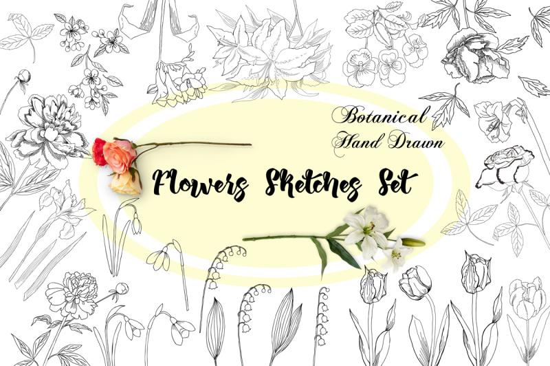 flowers-sketches-set-clip-art