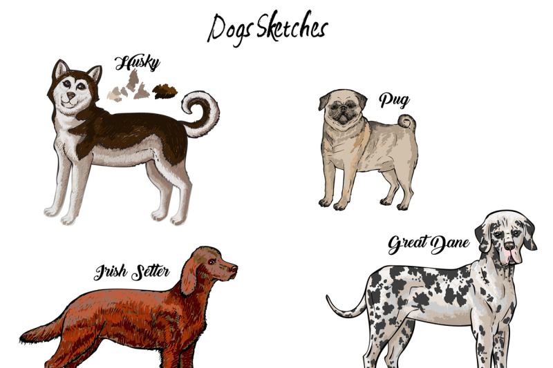 dogs-sketches-set-digital-clip-art