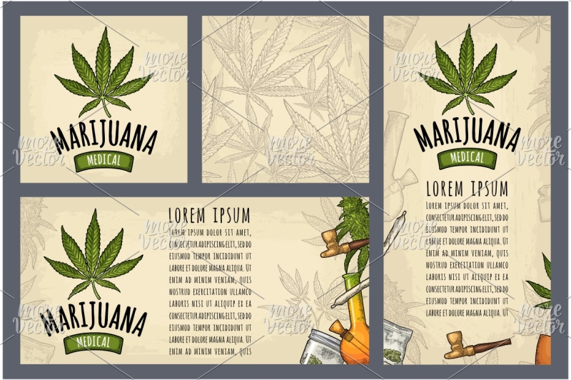 set-template-posters-marijuana-vintage-vector-engraving