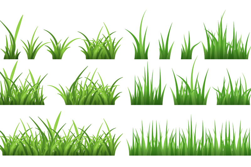 nature-illustrations-of-green-field-grass