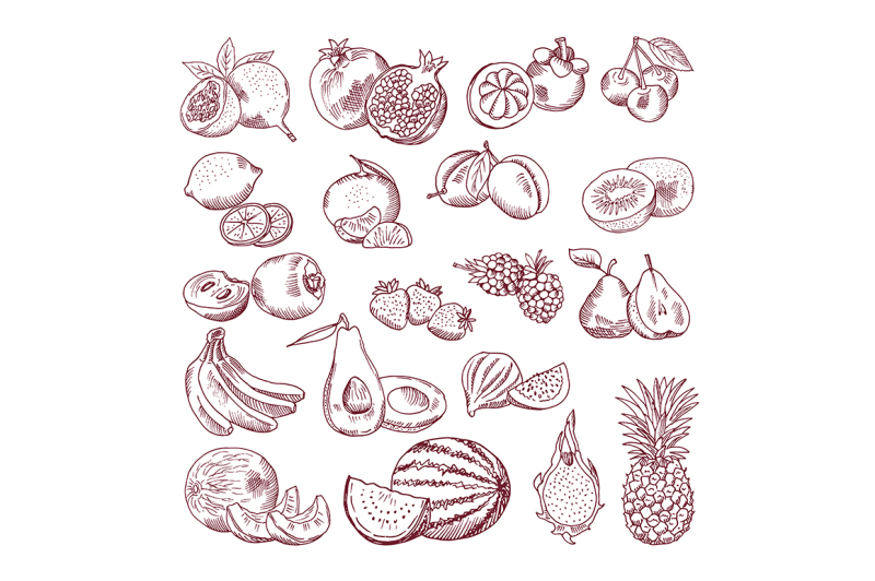 vector-sketch-fruits-for-package-design-doodle-illustrations-set