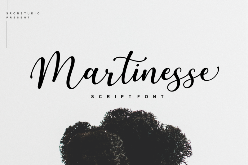 martinesse-script-font