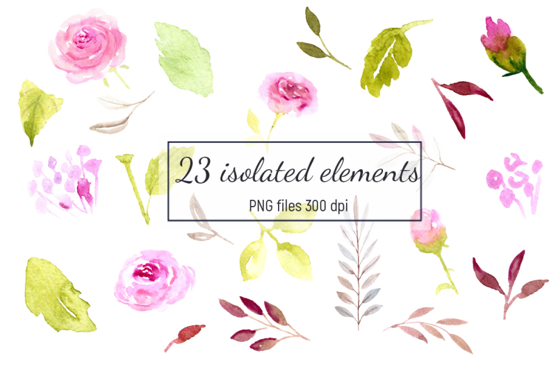 romantic-pink-roses-watercolor-collection