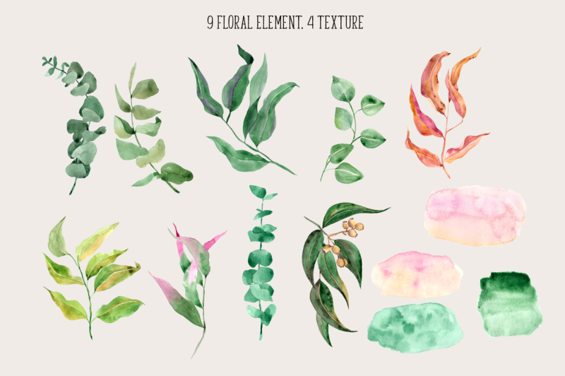 gentle-eucaliptus-watercolor-clipart