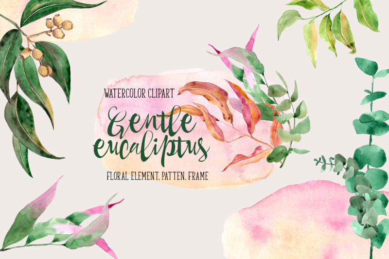 gentle-eucaliptus-watercolor-clipart