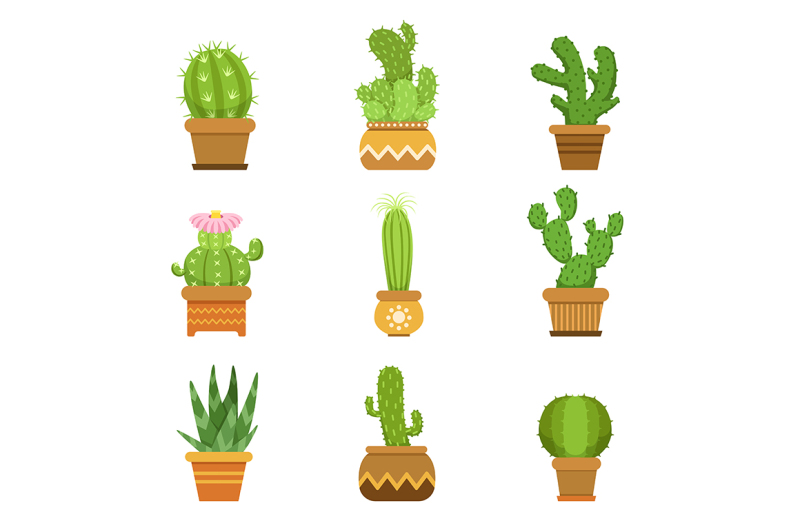 decorative-cactus-in-pots