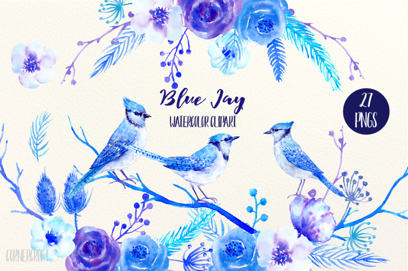 watercolor-clipart-blue-jay